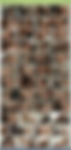 My.Wifes.Likes.BBC.XXX.iNTERNAL.2160p.WEBRiP.MP4-GUSH/gush.my.wifes.likes.bbc.mp4.jpg