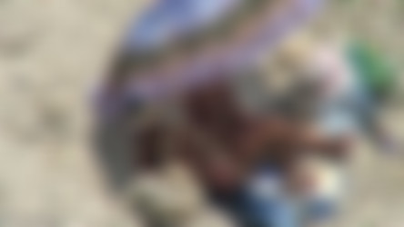 SxBeach_Add008/bh_7362.avi