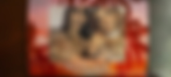[OnlyFans.com] CharliOFace - SiteRip/Images/1008x454_5b34c52eb8089e8957de8cdf2c4673ad.jpg