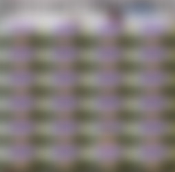 1920 x 1080 Pt.18/Scr/I got Coal¡_buffalosdahl_1080p.mp4.jpg