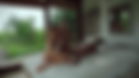 hegre.19.03.05.clover.natalia.a.and.putri.erotic.balinese.massage.mp4